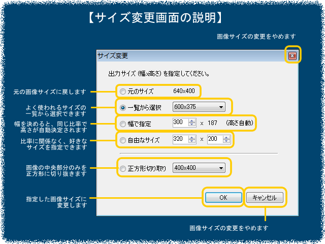 TCYύXʂ̐